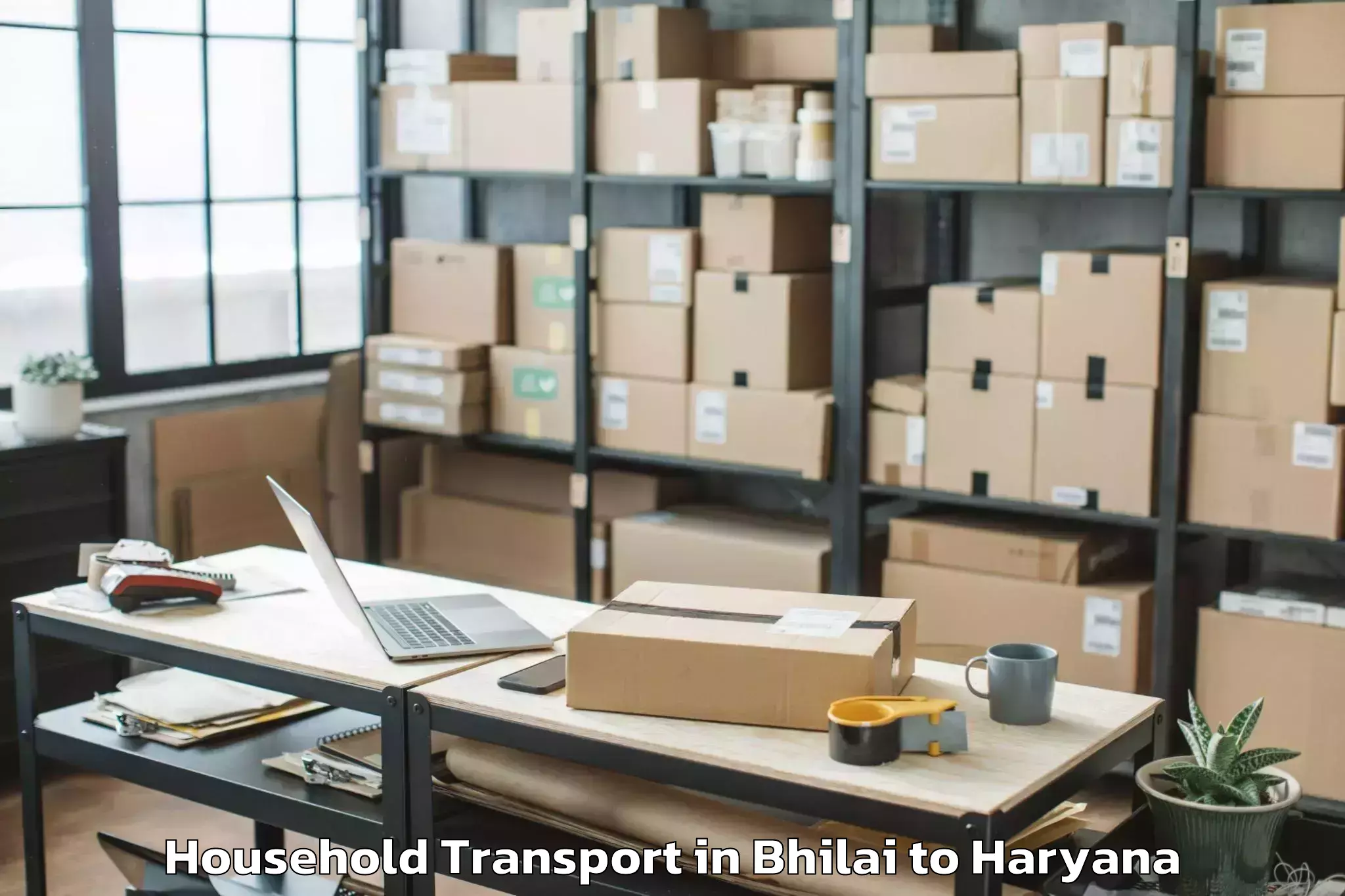 Easy Bhilai to Dt Mega Mall Household Transport Booking